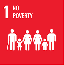 UN Sustainable Development Goal
